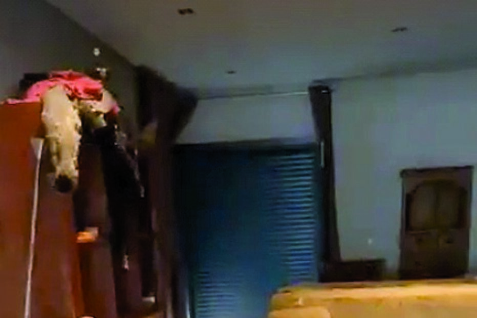 Denúncia de maus tratos retira família de casa em estado hediondo