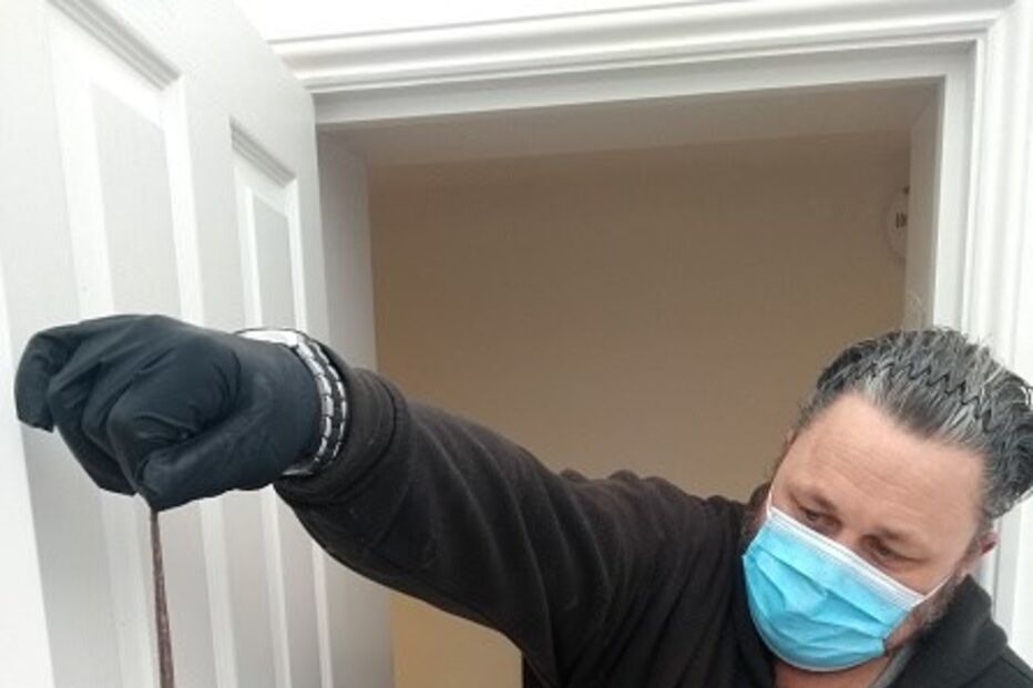 Pragas de ratos invadem casas e ruas de Londres durante confinamento