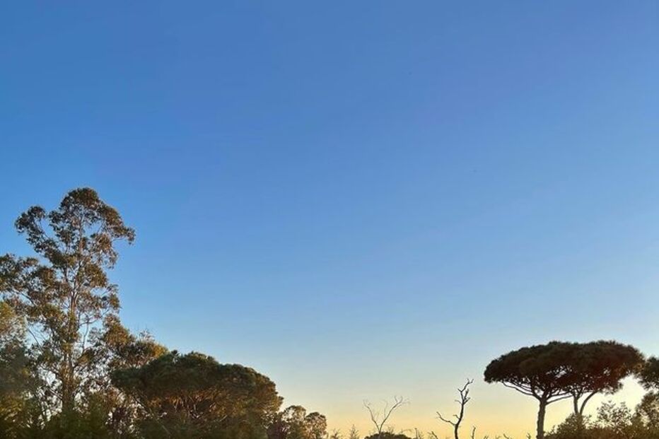 As cadelas de Sara no Algarve.jpg