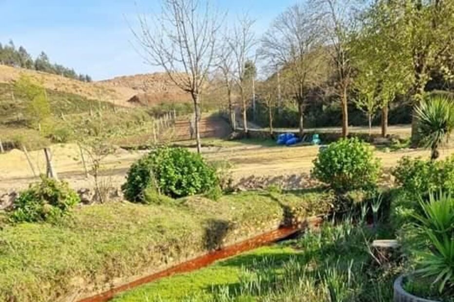 Descarga poluente em ribeira de Santo Tirso