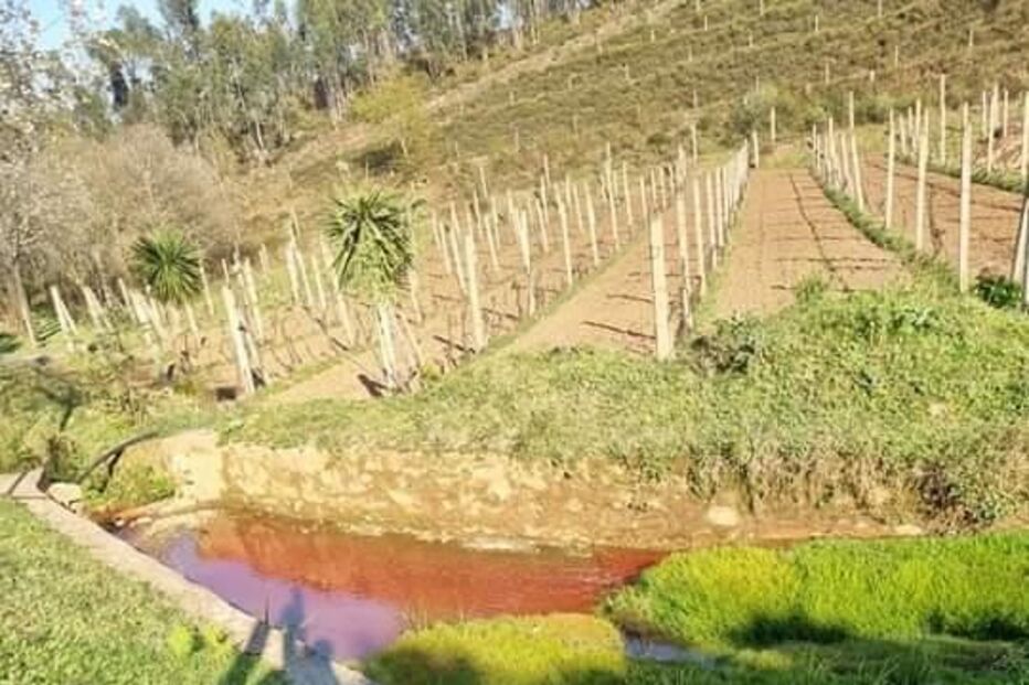 Descarga poluente em ribeira de Santo Tirso