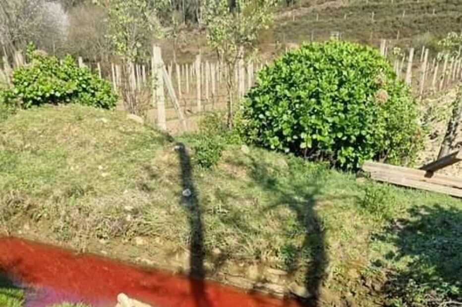 Descarga poluente em ribeira de Santo Tirso