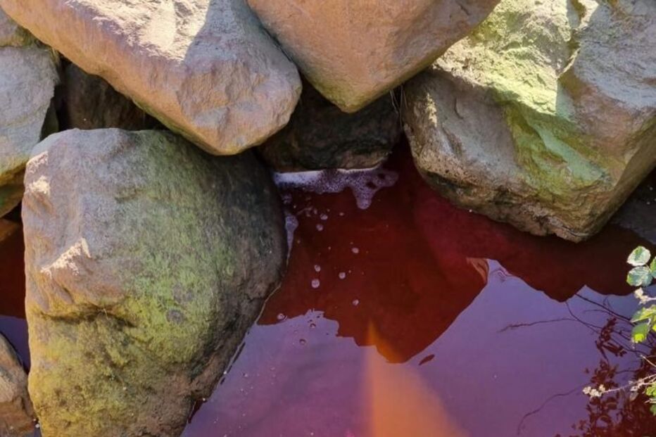 Descarga poluente em ribeira de Santo Tirso