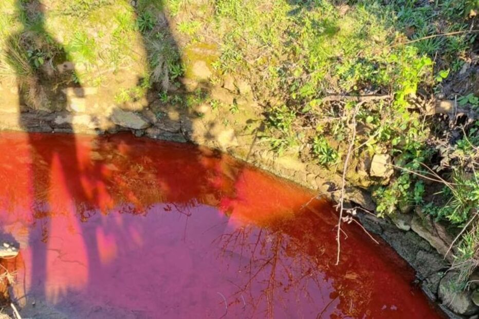 Descarga poluente em ribeira de Santo Tirso