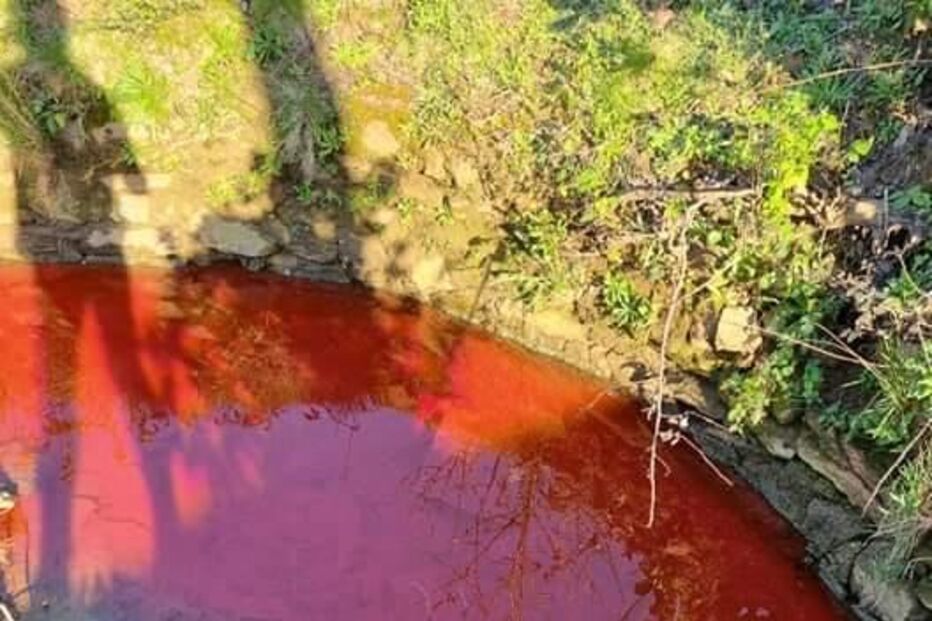 Descarga poluente em ribeira de Santo Tirso