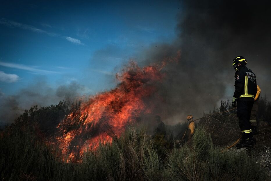 /fotospublicadas/Fotos/2-37102501 (9314341) (Milenium)
