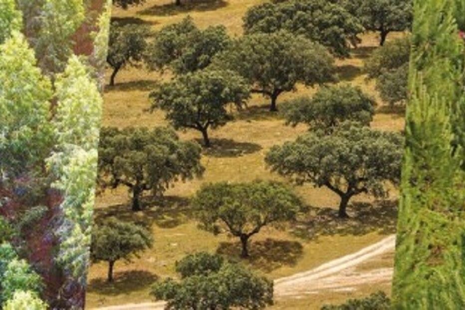 2021-03-26_15_09_25 foto.jpg