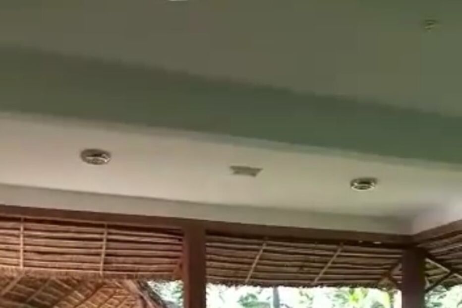 Terrorismo, daesh, moçambique