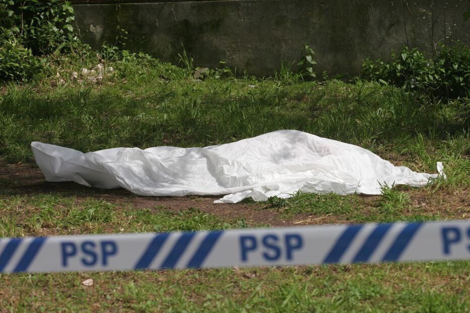 Imagem PC020401.JPG (9359253) (Milenium)