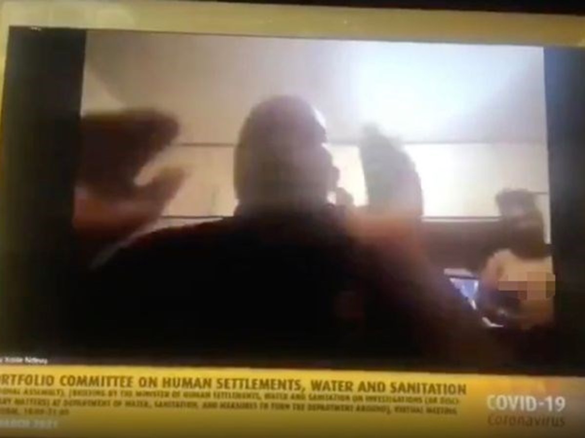 Político mostra mulher nua no Zoom por acidente durante reunião parlamentar - Insólitos foto foto