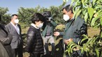 Presidência portuguesa na UE quer mais ajuda financeira para os agricultores ecológicos