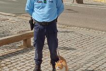 Tareco é o novo elemento do Comando Territorial de Évora