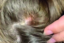 Vítima mostrou ferimentos