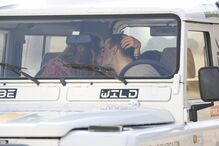 Cláudia Vieira e José Fidalgo