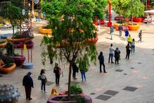 2021-04-19_14_30_28 38723254.jpg