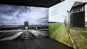 Museu do Holocausto do Porto abre hoje portas e tem entradas gratuitas até junho