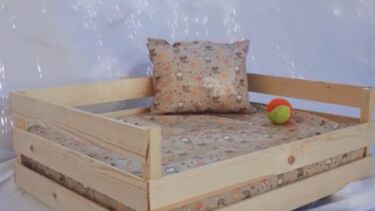 Criadores da 'K9 Creations' falam das vantagens de camas ecológicas para animais