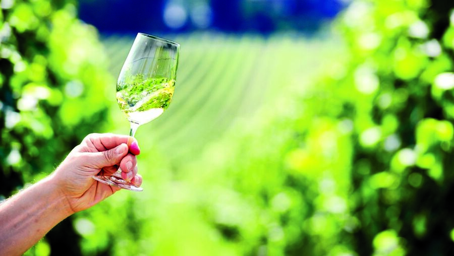 Vinho branco tem sabor mais doce