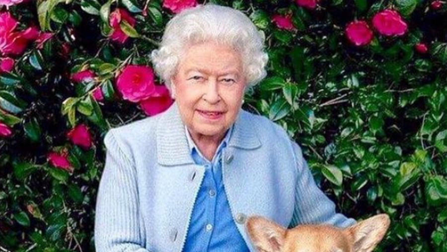 Rainha Isabel II teve mais de 30 cães ao longo de toda a vida