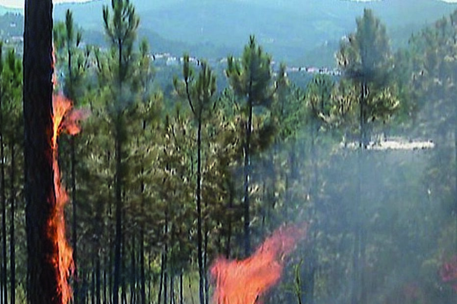 Mulher é suspeita de 4 incêndios 