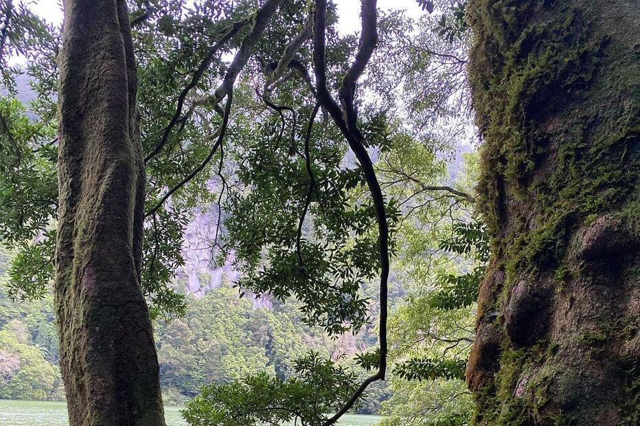 Maria, filha de Pedro Teixeira e Cláudia Vieira