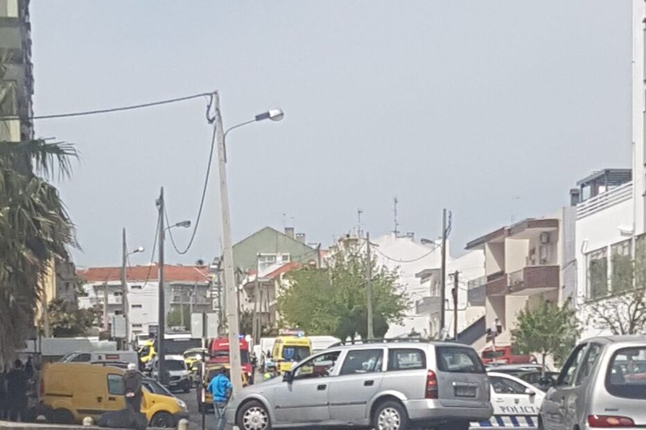 2021-04-06_15_33_57 170127000_10219159886976062_8195032189203151164_n.jpg