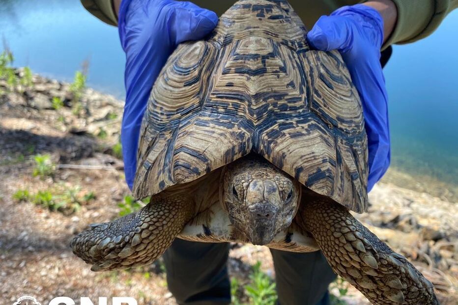 2021-04-06_15_47_53 GNR Leiria - Resgate_2.JPG