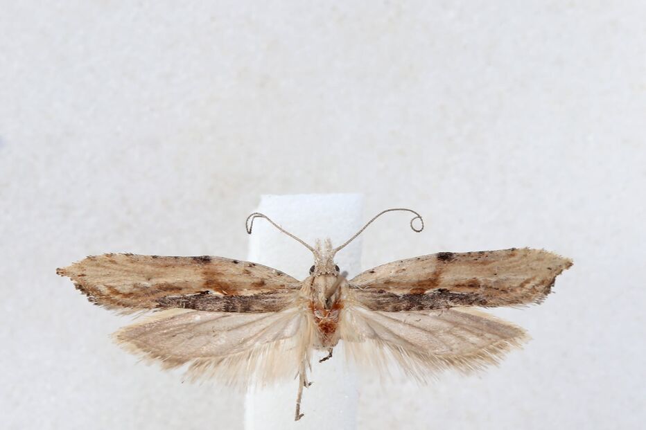 2021-04-08_13_23_21 168882529_4057619284299875_8159298087241848399_n.jpg