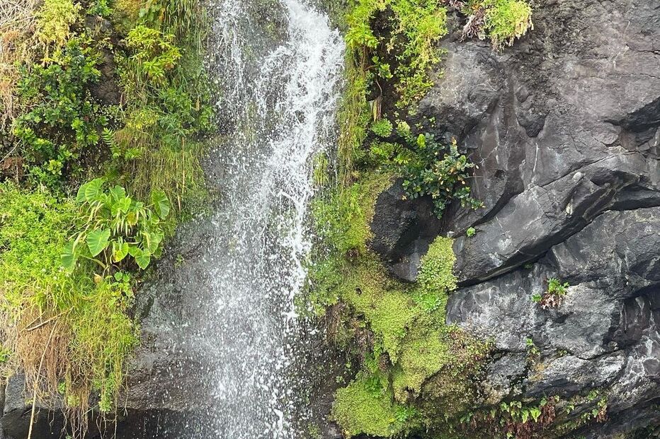 Sofia Ribeiro de férias na Madeira