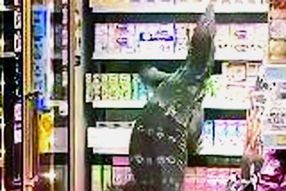 Lagarto gigante invade supermercado na Tailândia