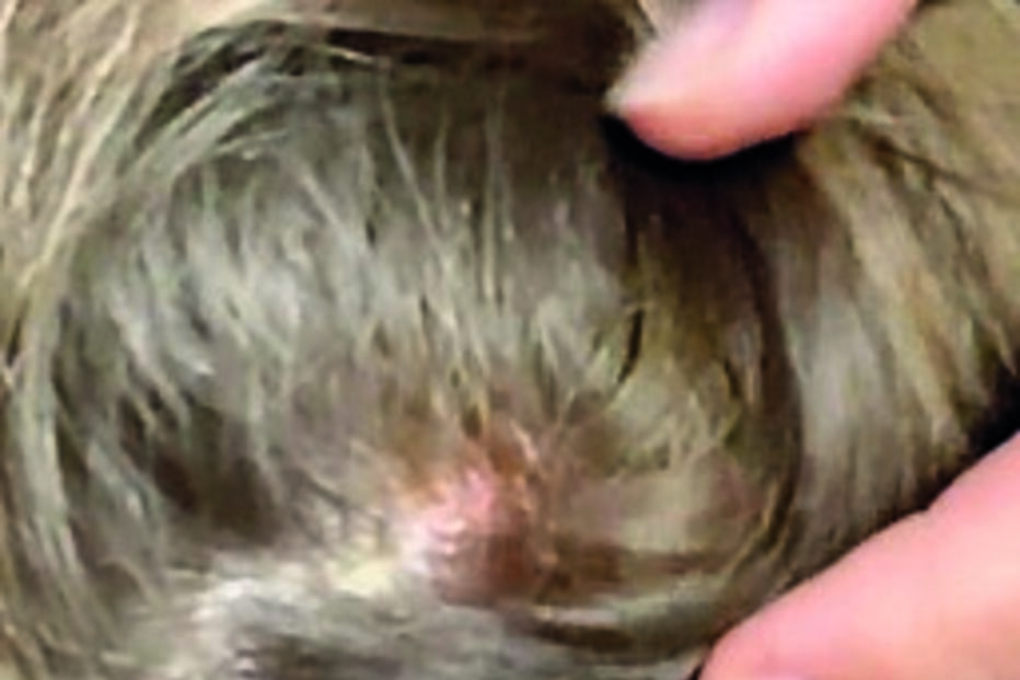 Vítima mostrou ferimentos