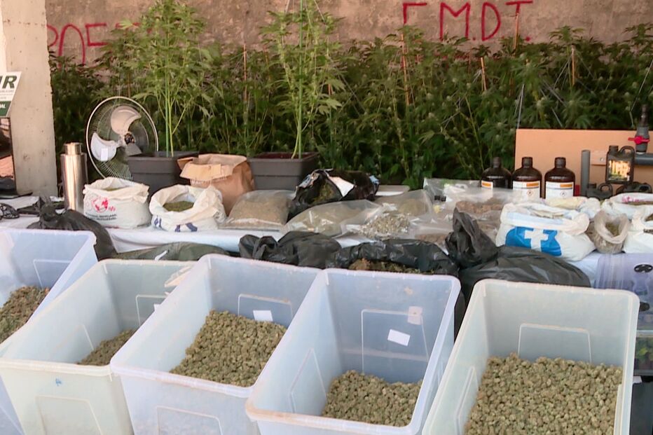 Material e droga apreendidos