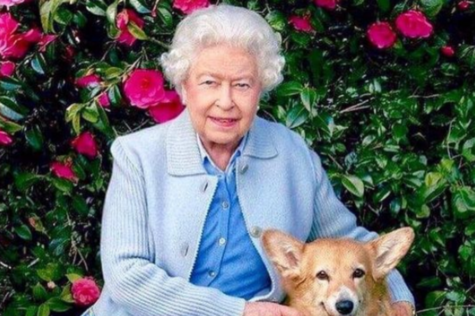 Rainha Isabel II teve mais de 30 cães ao longo de toda a vida