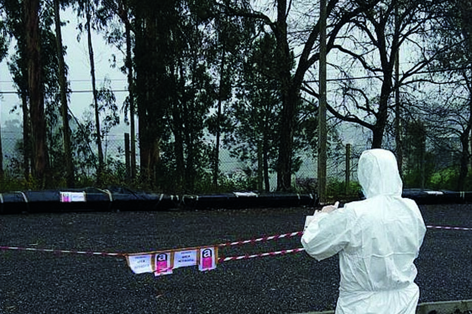 Guardas detetam crimes ambientais 