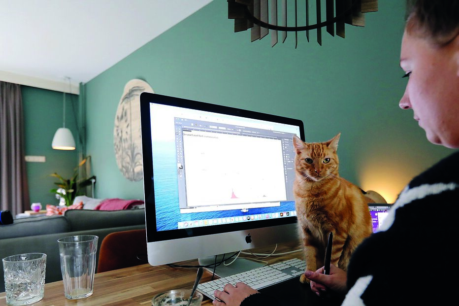 Cerca de 70%  dos trabalhadores das áreas de informação e comunicação estava a trabalhar a partir de casa 