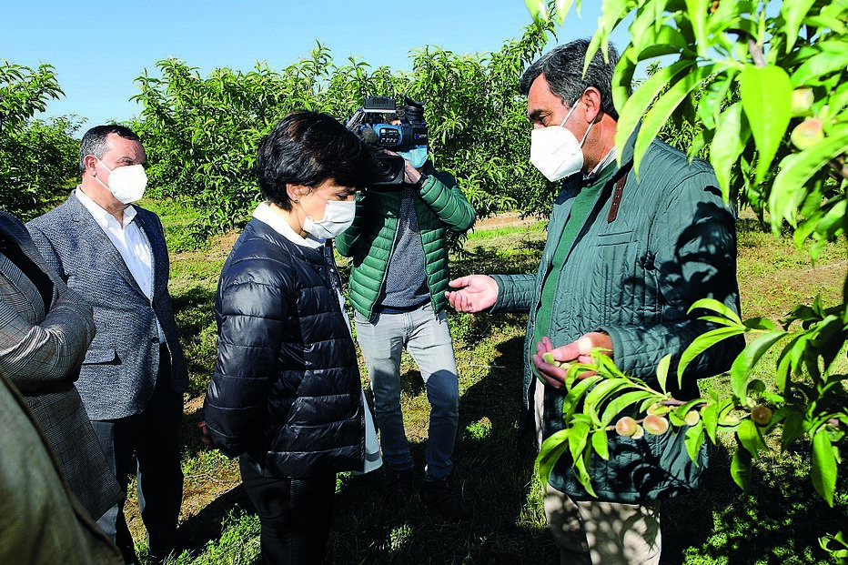 Ministra vai propor apoios para projetos ecológicos