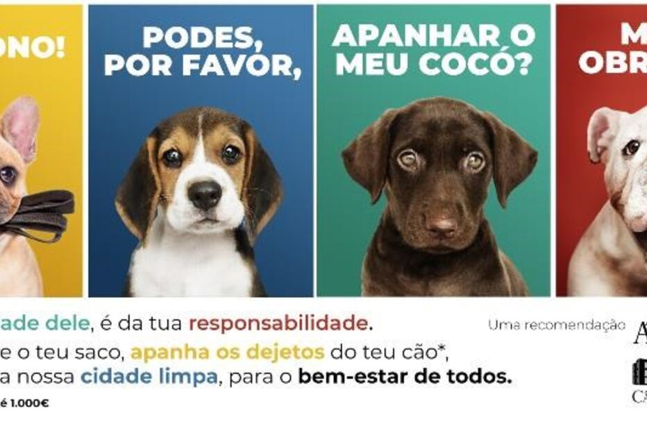 2021-04-30_16_00_08 agueda campanha caes.jpg