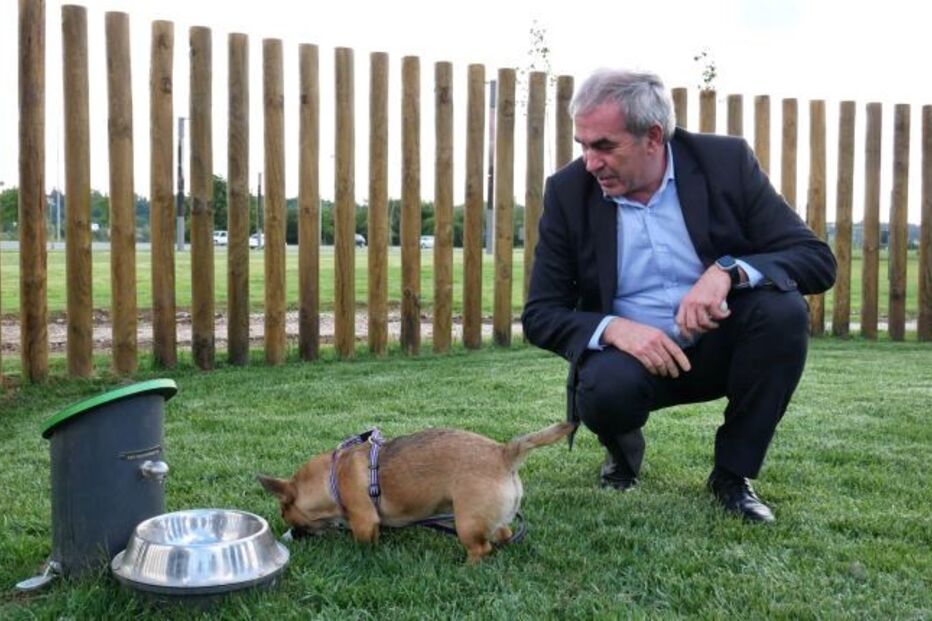 2021-04-30_16_00_09 agueda campanha caes2.jpg