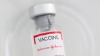 Vacina da Johnson pode ser administrada a todos os homens a partir dos 18 anos em Portugal