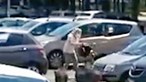 Javalis atrevidos ‘assaltam’ mulher em Itália