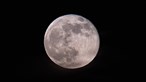 Já olhou para a Lua? Hoje é dia de eclipse lunar total e da maior Super Lua do ano