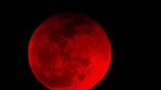 Quarta-feira é dia de eclipse lunar. Teoria diz que faz parte de ‘trio’ de fenómenos do Apocalipse