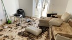 Vídeo mostra horror e chão coberto de dejetos em vivenda onde foram encontrados sete cães mortos