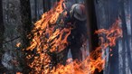 Vereadora de Pedrógão Grande afirma em tribunal que era 'para reconstruir tudo' após tragédia dos incêndios