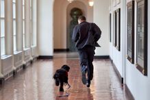 Barack Obama com o cão Bo