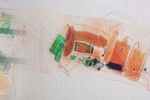 Segurança divulgou imagem dos brinquedos sexuais da mulher