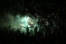 Adeptos do Sporting festejam campeonato	