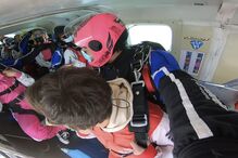 Ricardo Martins Pereira e Sara Veloso