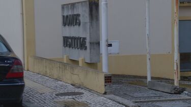 Saiba como fazer uma horta em casa