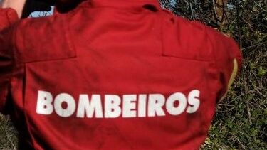 Fogo em autocarro na A8 na zona de Loures propagou-se a zona de mato